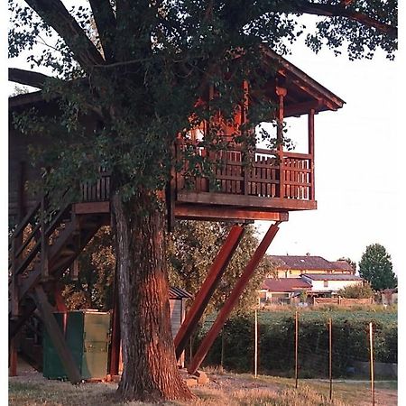 BorgarelloLa Casa Sull'Albero Oasi Certosa Di Pavia别墅 外观 照片