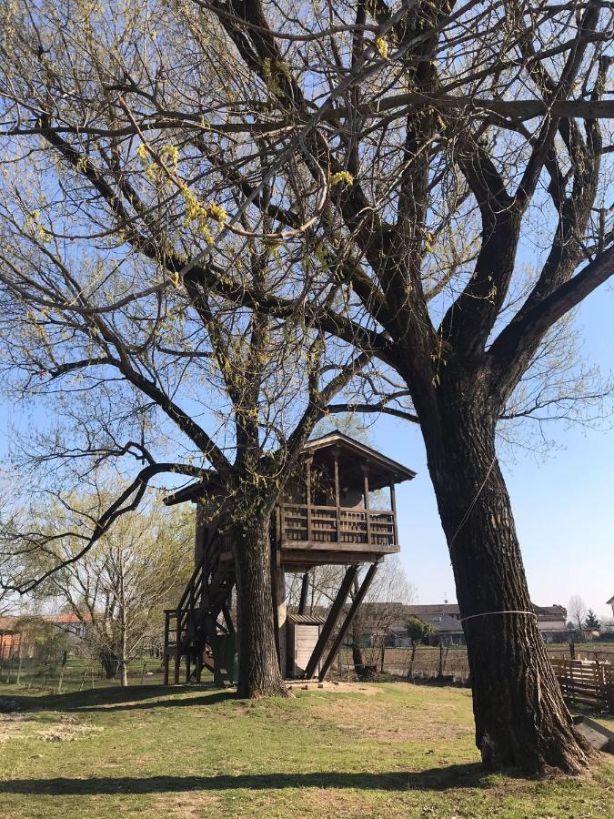 BorgarelloLa Casa Sull'Albero Oasi Certosa Di Pavia别墅 外观 照片