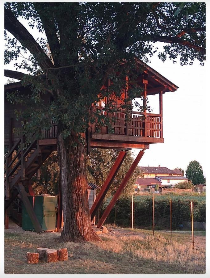 BorgarelloLa Casa Sull'Albero Oasi Certosa Di Pavia别墅 外观 照片