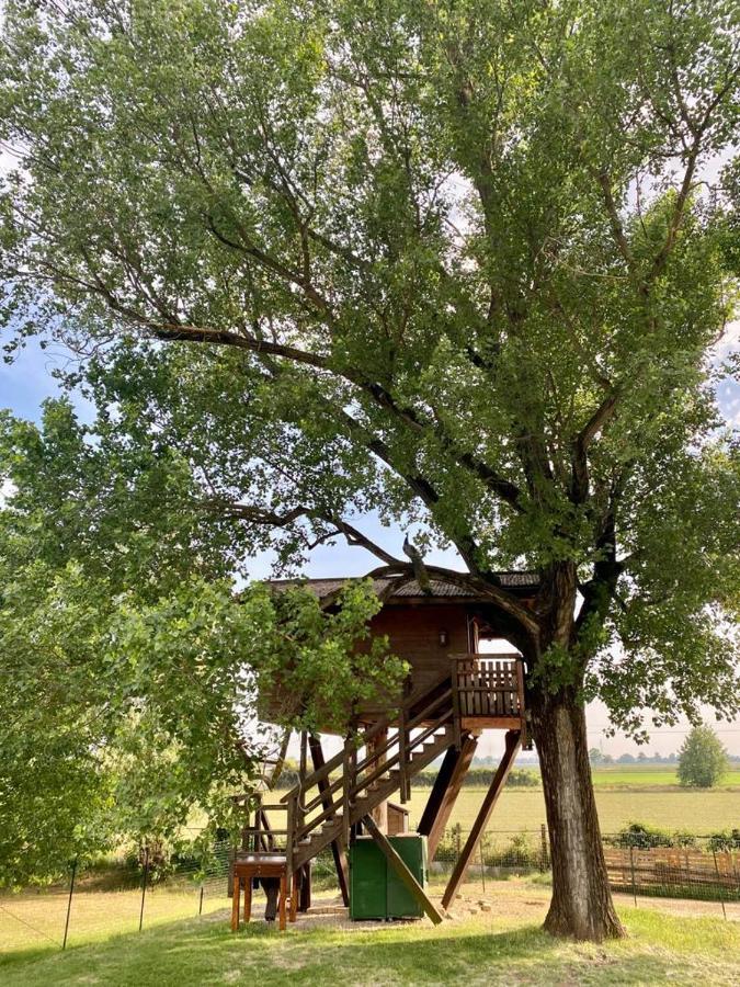 BorgarelloLa Casa Sull'Albero Oasi Certosa Di Pavia别墅 外观 照片