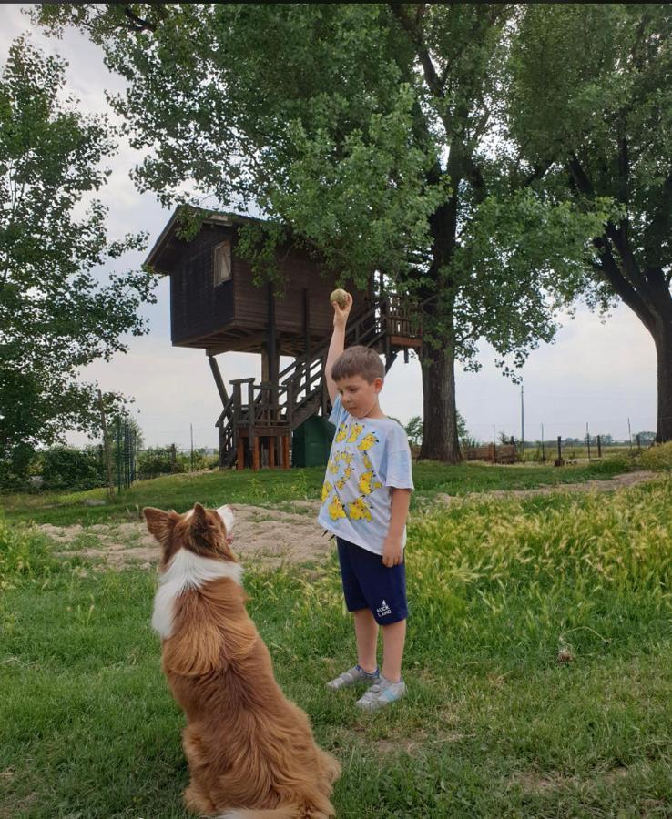 BorgarelloLa Casa Sull'Albero Oasi Certosa Di Pavia别墅 外观 照片