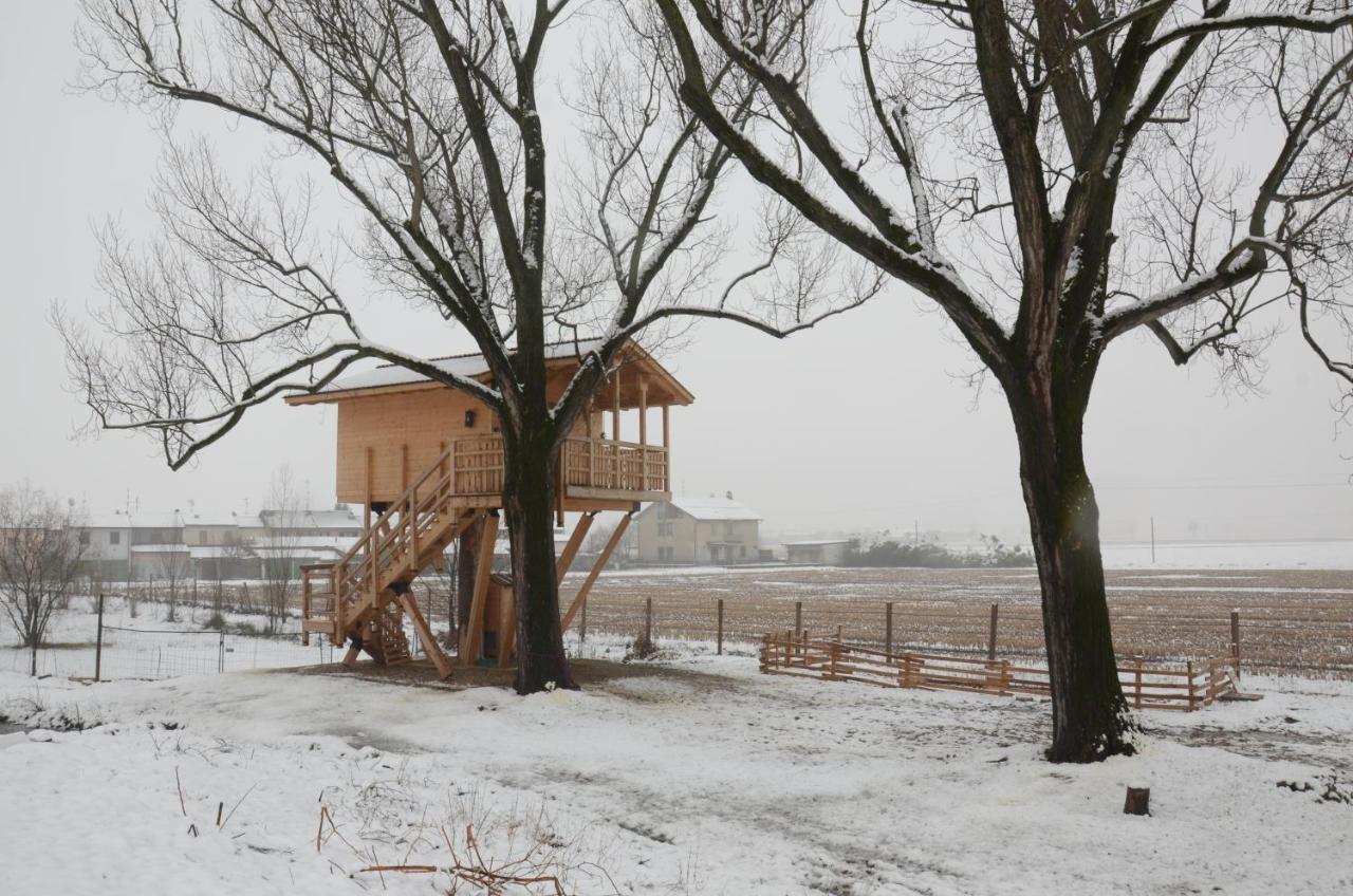 BorgarelloLa Casa Sull'Albero Oasi Certosa Di Pavia别墅 外观 照片