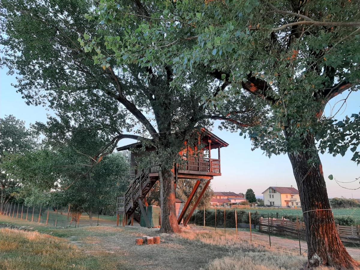 BorgarelloLa Casa Sull'Albero Oasi Certosa Di Pavia别墅 外观 照片